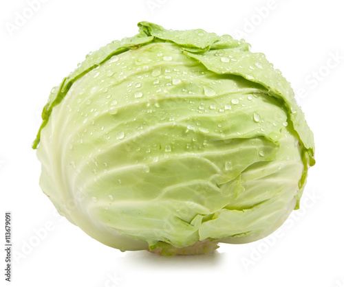 Fotografie green cabbage water drop isolated