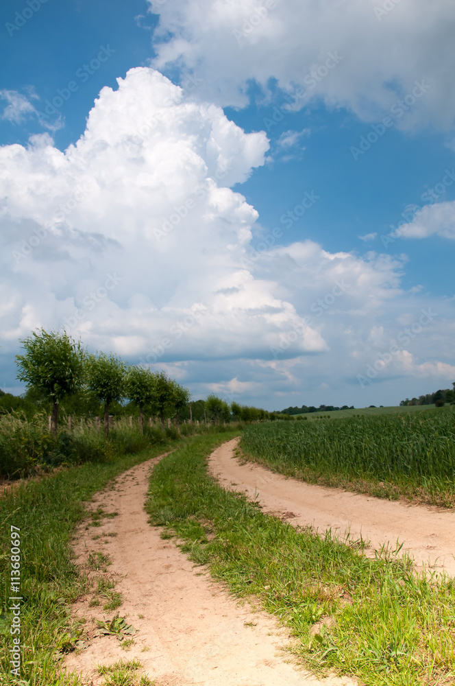 Nature landscape of agricultural fields and country road Nature landscape of agricultural fields and country road