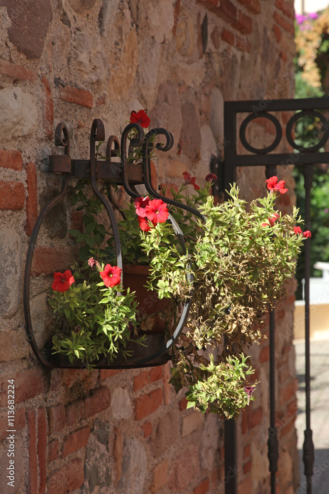 flowers in old town