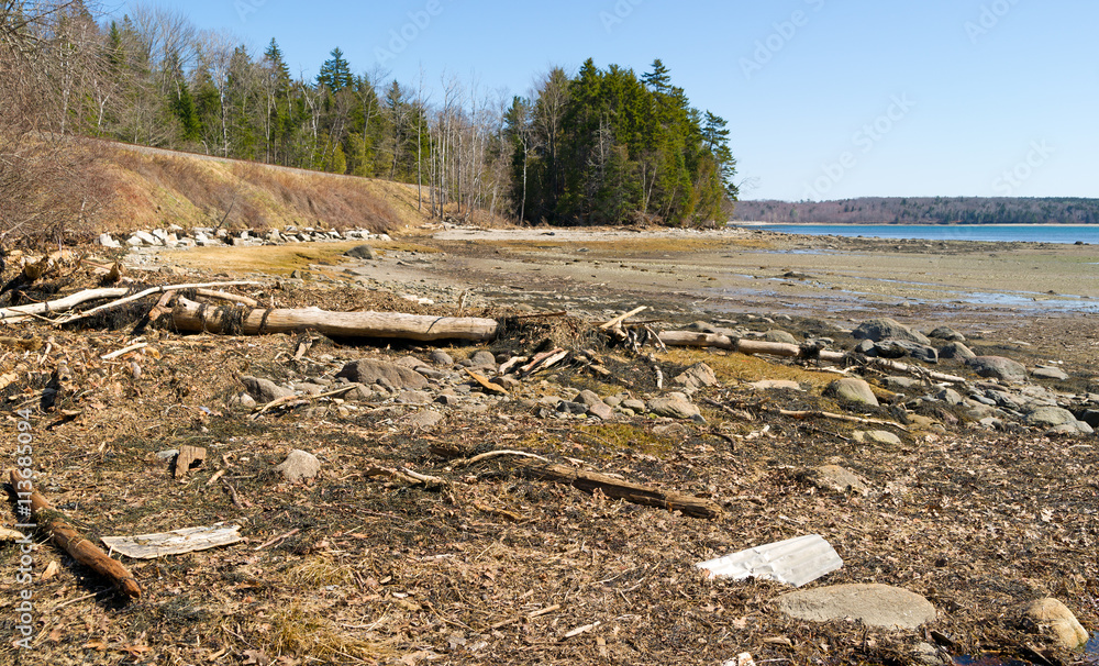 Long Cove coastline debris from high tides. Long Cove coastline debris from high tides.