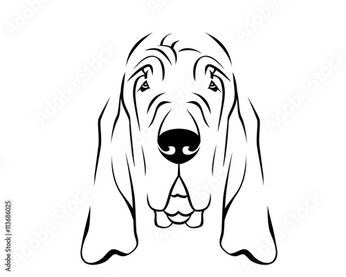 Dog Breed Line Art Logo - Bloodhound