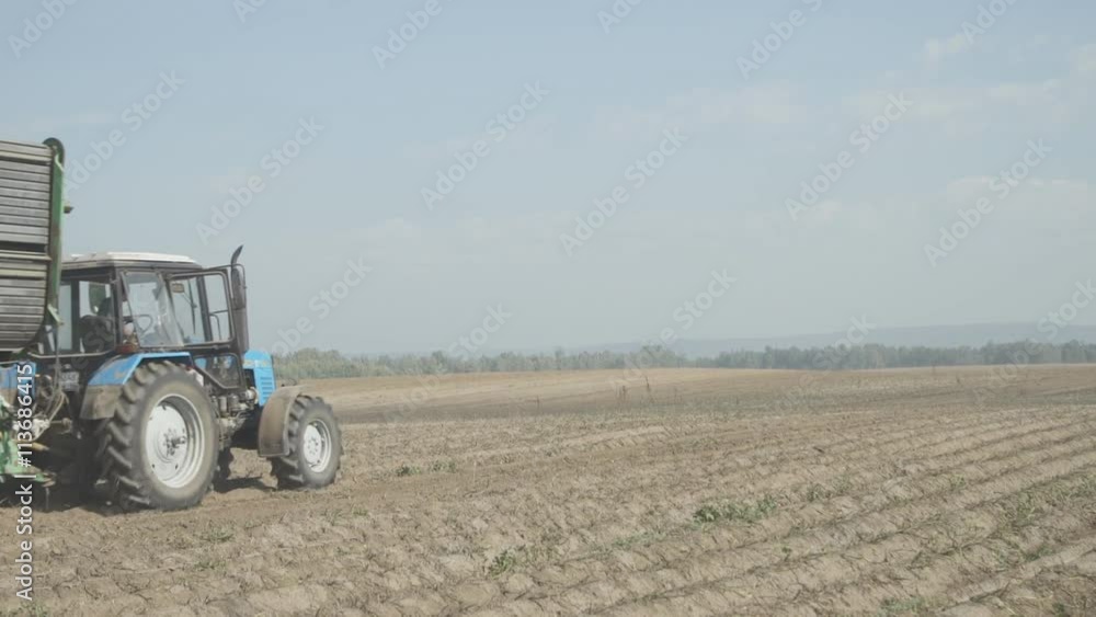 Blue tractor with a machine for harvesting potatoes goes on field. Blue tractor with a machine for harvesting potatoes goes on field.