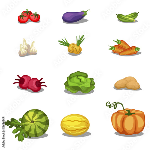 Fototapeta Naklejka Na Ścianę i Meble -  food. Vegetables icons big set, vector illustration