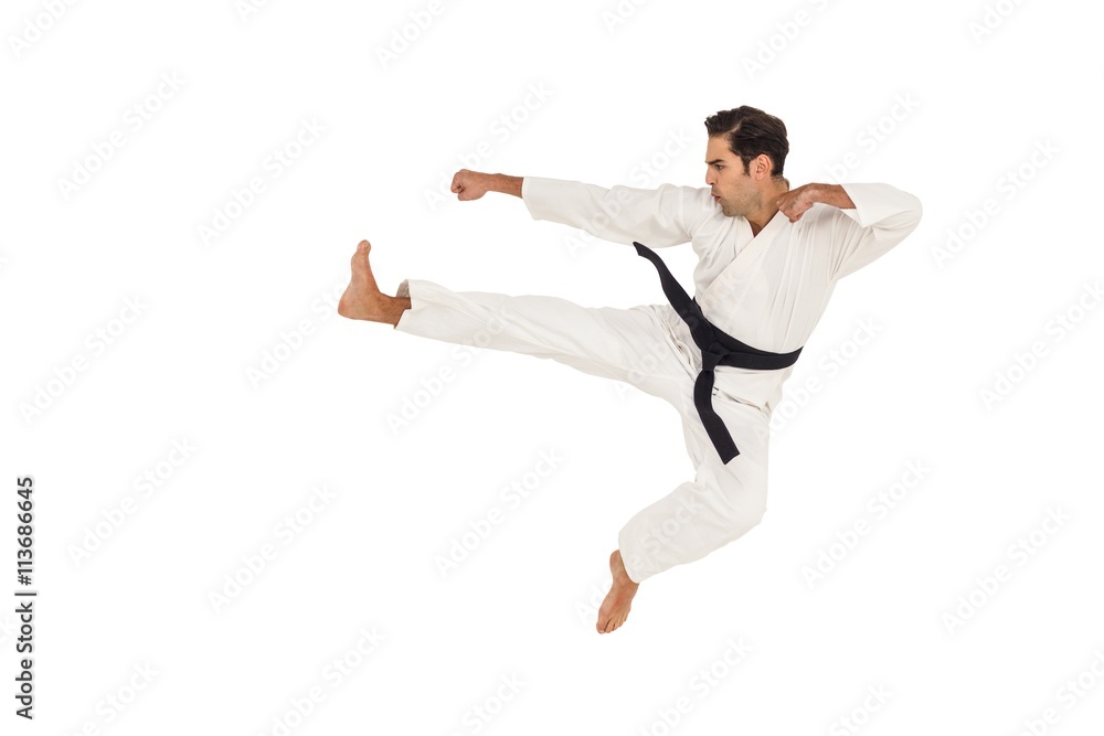 Fighter performing karate stance Fighter performing karate stance