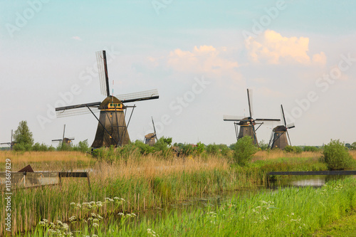 Traditional Dutch windmills with green grass in the foreground, The Netherlands