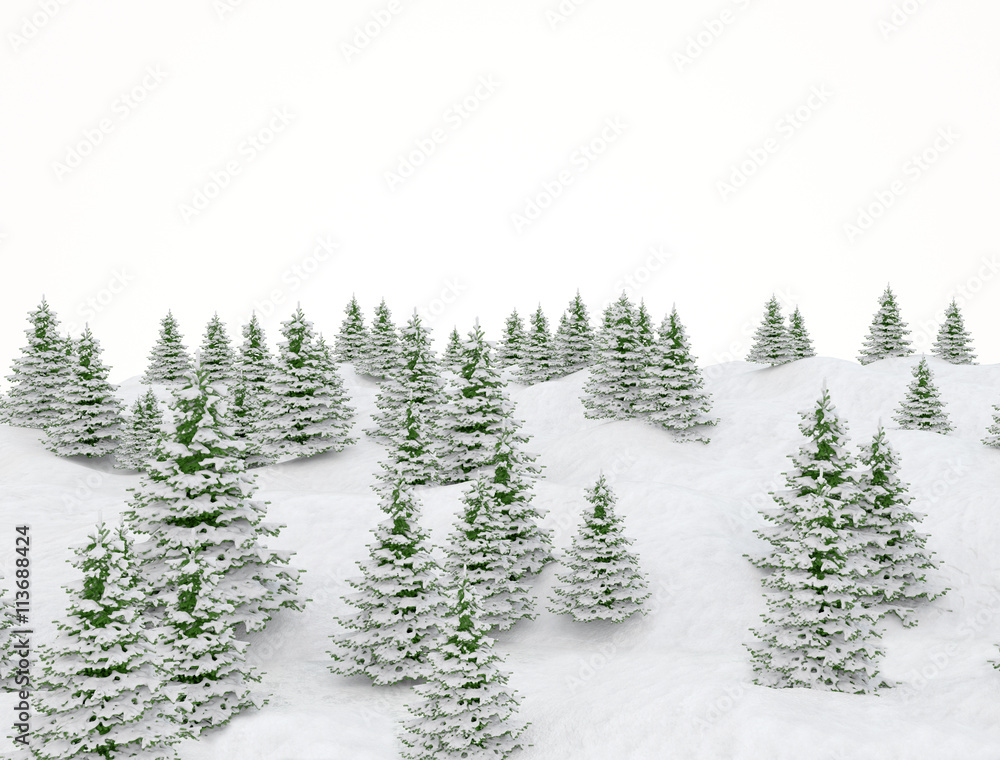 Fototapeta premium Winter landscape with pine trees in snow. Isolated background