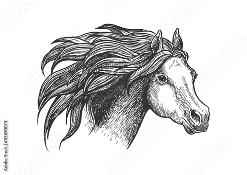 Graceful running appaloosa horse vintage icon 