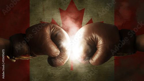 Boxing Gloves with the Flag of Canada