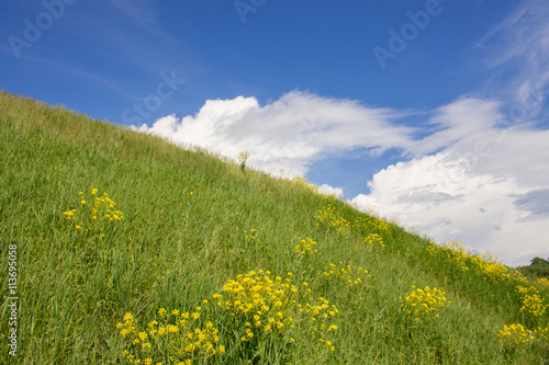 Panorama of beautiful clouds in a blue sky over a hill with flowers. Landscape summer nature, wild fields and mountains. A large sky on a summer day.