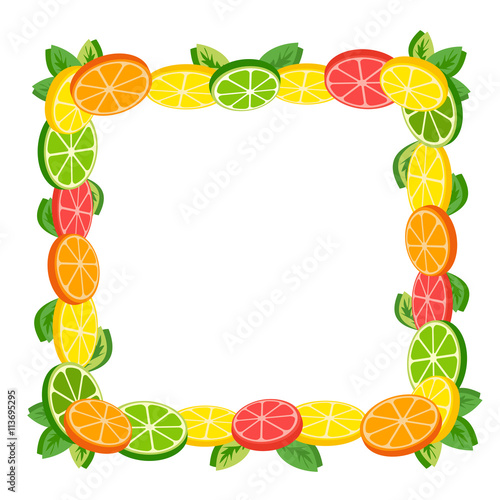 Citrus frame decoration