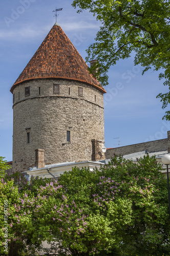 Medieval Tower In Springtime