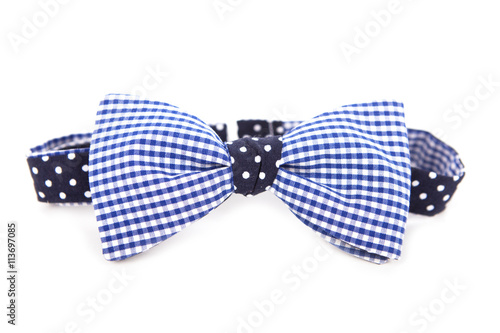 Blue in a cage and a polka dot bow tie on a white background