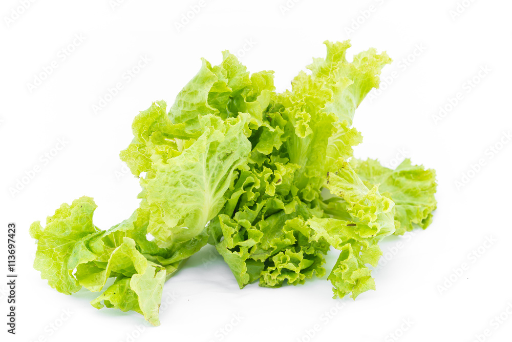 green salad leaf isolated on white -
Lettuce salad leaf close up on white background & space for your copy text
green salad leaf isolated on white -
Lettuce salad leaf close up on white background & space for your copy text