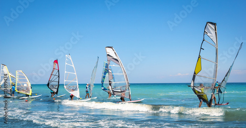 Canvas Print Windsurfing sails on the blue sea