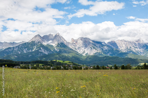 Berge und Sommerwiese in den Alpen © Patrick Daxenbichler