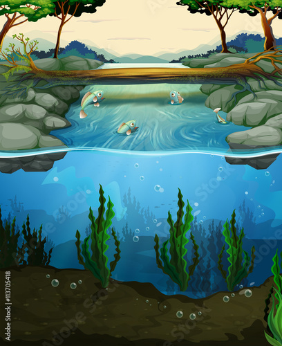 Scene with fish swimming in the river