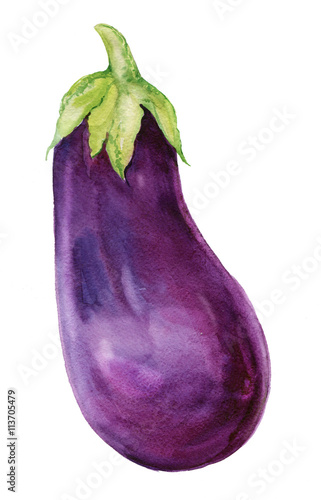 Watercolor Beetroot. Watercolor painting on white background.