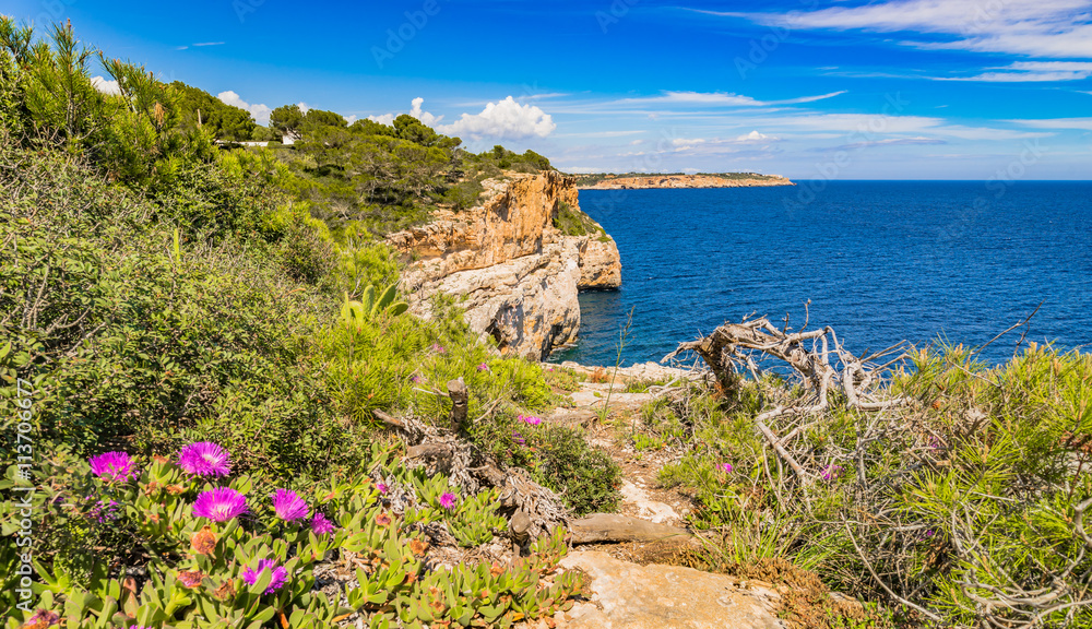 Mediterranean Sea Landscape Seaside Coast Balearic Islands Majorca