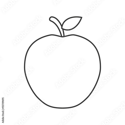 isolated fruit  design. organic food concept   vector graphic 