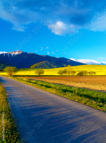 Road in a beautiful land with meadows and blooming field. And snow mountain in background. Slovakia  Central Europe  Liptov.