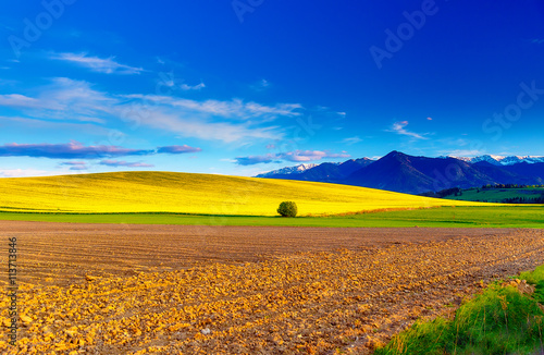 Fototapeta Naklejka Na Ścianę i Meble -  Beautiful spring plowed field and green and yellow meadow. Mountain in background.