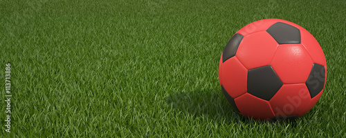 Ball On Grass Of Stadium