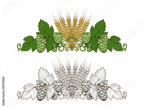 Hops and barley ornament vector illustration