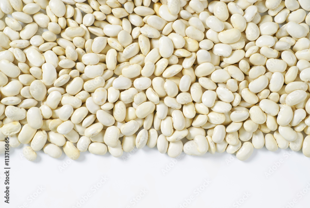 raw white beans raw white beans