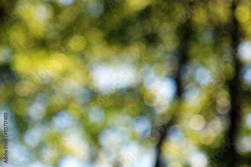 Defocused abstract nature background