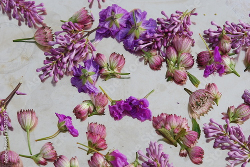 Bed of pink flowers