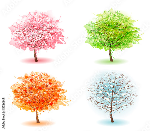 Four stylized trees representing different seasons. Vector.