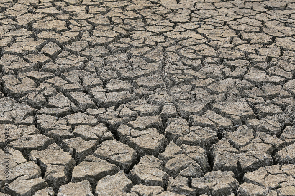 Cracked earth and dry soil texture. Cracked earth and dry soil texture.