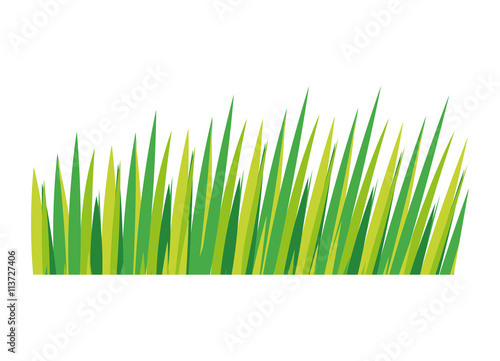 Nature grass concept. leaves  icon. vector graphic