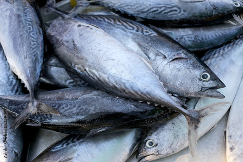 Longtail tuna or Northern bluefin tuna on the utensil.