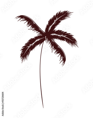 Summer and beach concept. Palm tree icon. vector graphic