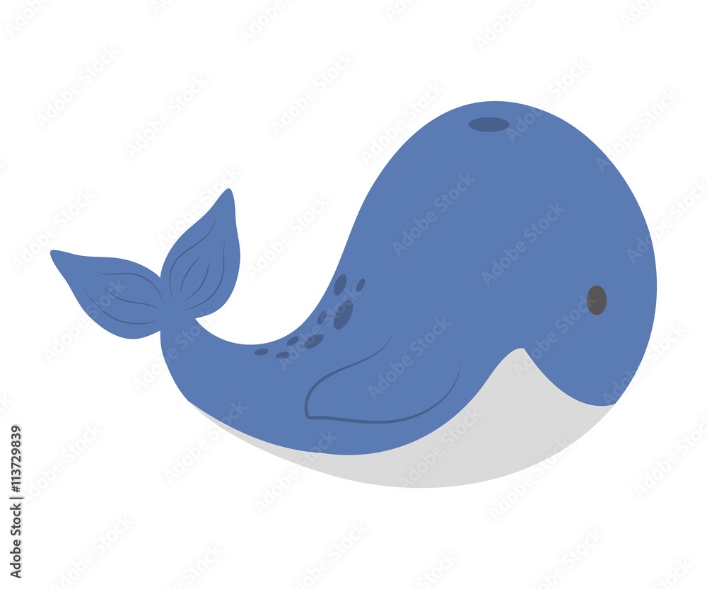 Cute animal design. Whale icon. vector graphic Cute animal design. Whale icon. vector graphic
