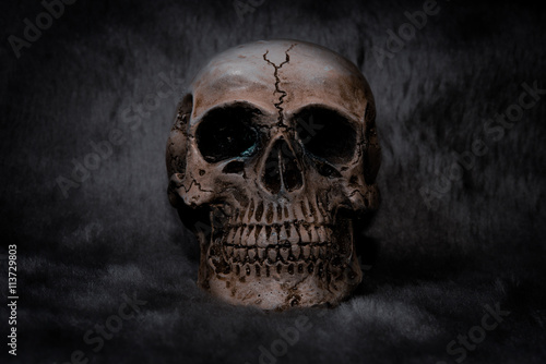 Still life Skull on black background