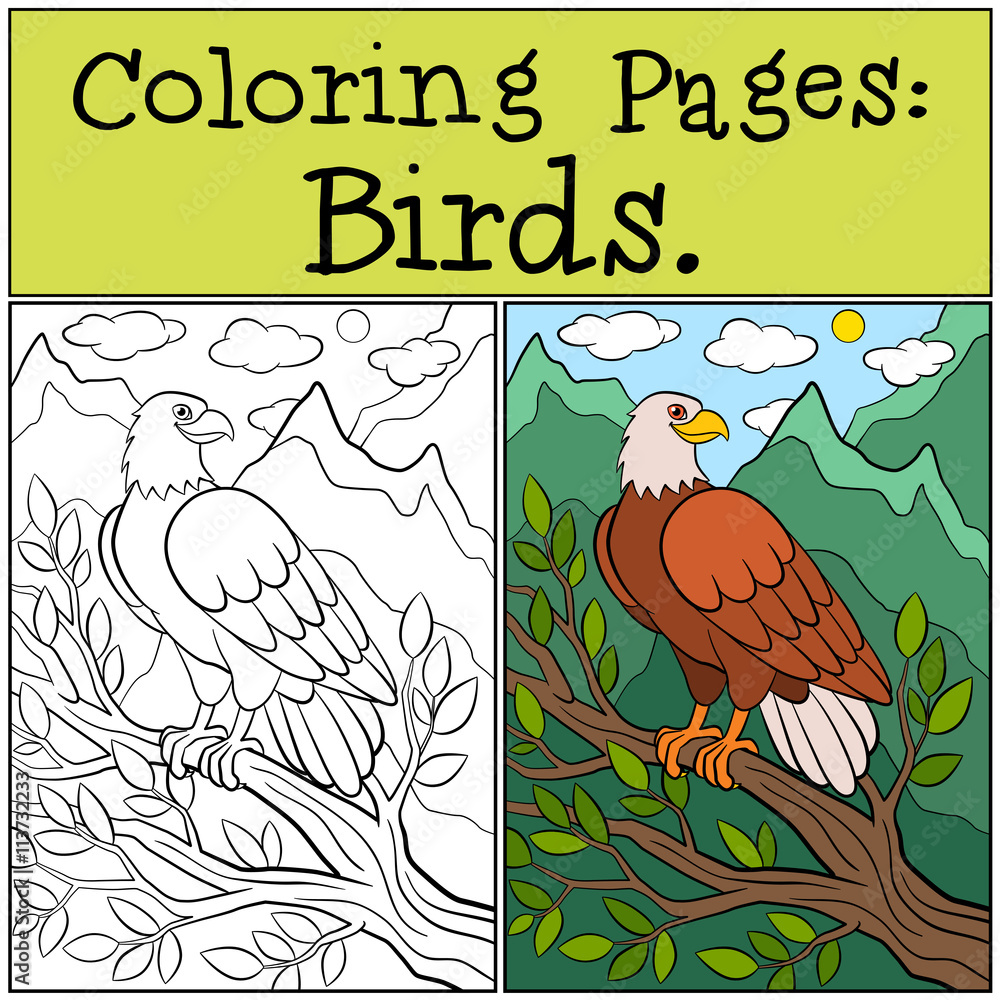 Obraz premium Coloring Pages: Wild Birds. Cute bold eagle sits and smiles.