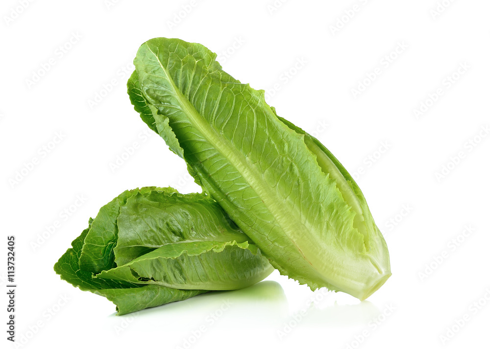 Romain lettuce isolated on a white background Romain lettuce isolated on a white background