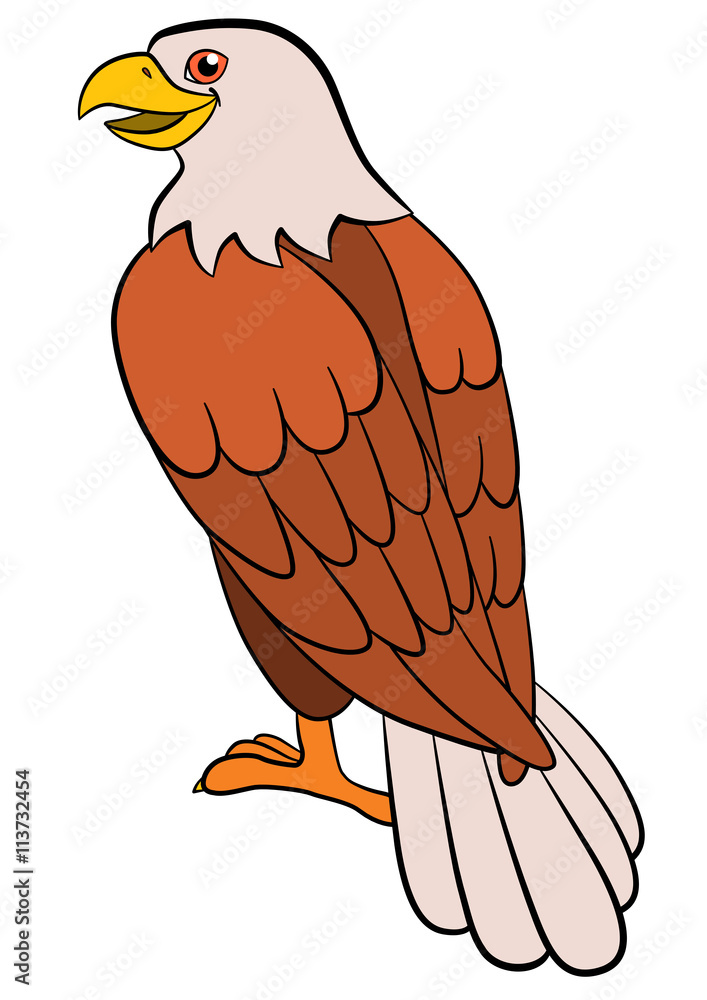 Naklejka premium Cartoon birds for kids: Eagle. Cute bald eagle smiles.