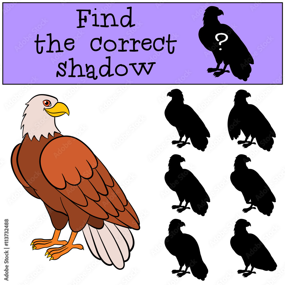Fototapeta premium Children games: Find the correct shadow. Cute bald eagle smiles.