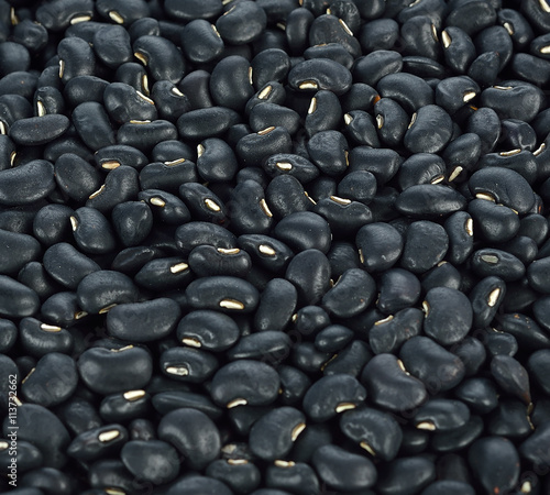 Canvas-taulu Vigna mungo or black beans