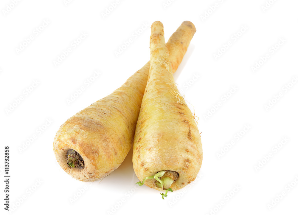 two fresh parsnip roots on a white background two fresh parsnip roots on a white background