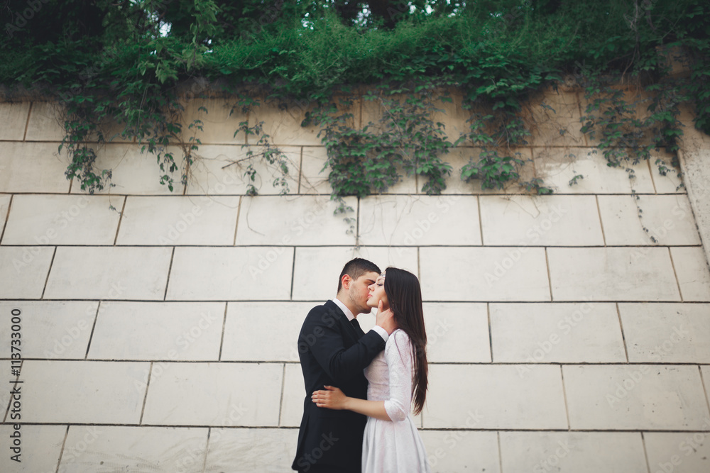 Wonderful luxury wedding couple posing near great wall