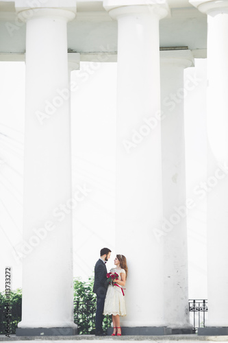 Beautiful couple, bride and groom posing near big white column © olegparylyak