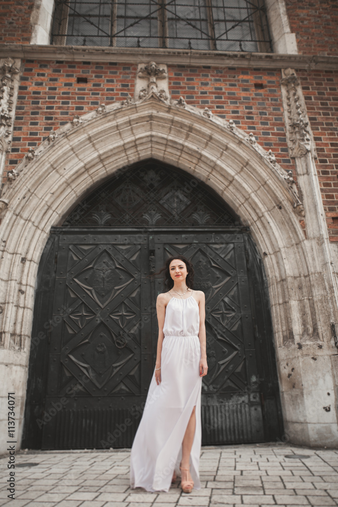Beautiful young bride posing on the background old building Beautiful young bride posing on the background old building