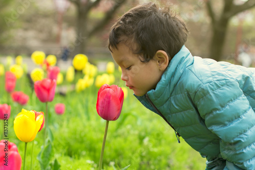 A portrait of a cute boy smelling the tulip flower in the garden