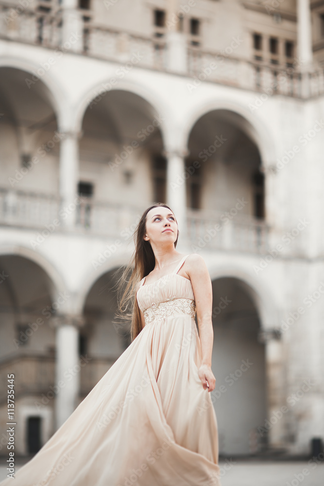 Obraz premium Beautiful girl, model with long hair posing in old castle near columns. Krakow Vavel
