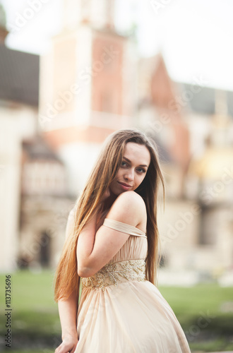 Girl in luxurious long dress on street of old town © olegparylyak