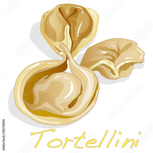 Tortellini Italian vector